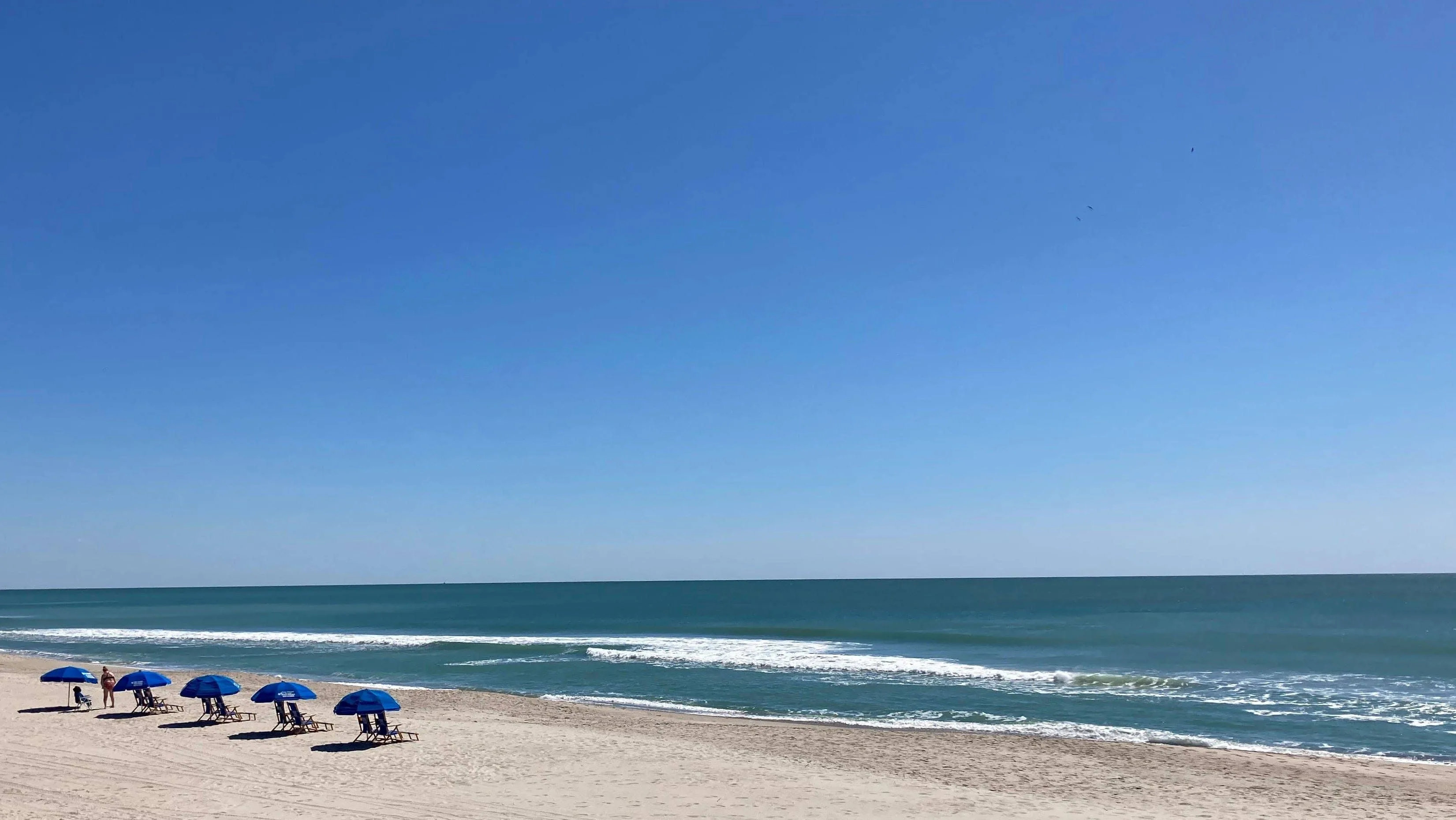 syndication-wilmington-star-news-7