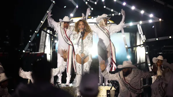 Bugs Cause Chaos at Beyonce Concert