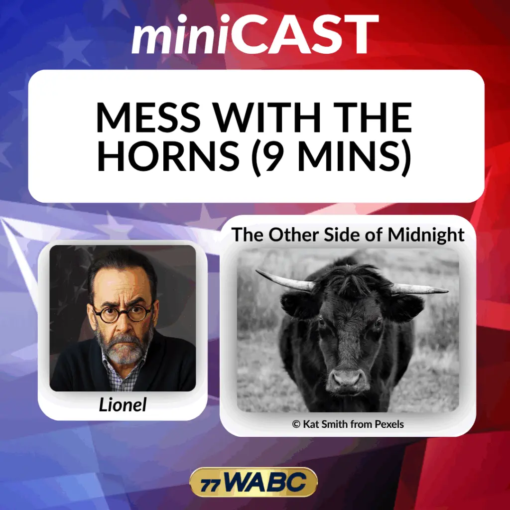 d48251a6a8bcca7d9cf0b956573ee4d9307185