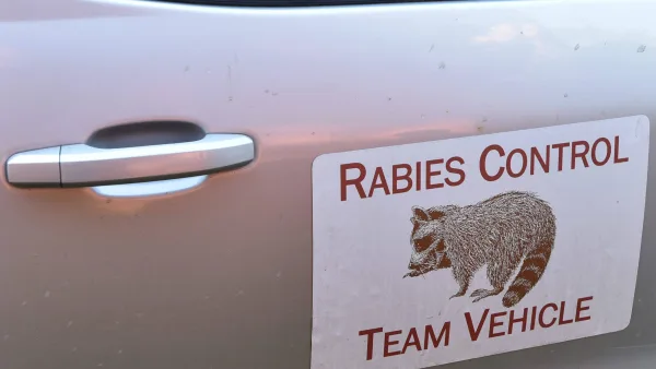Rabies is Back on Long Island