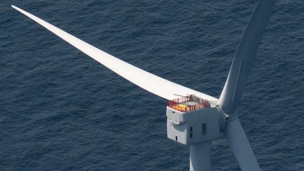 Are Offshore Turbines Killing Our Oceans’ Wildlife?