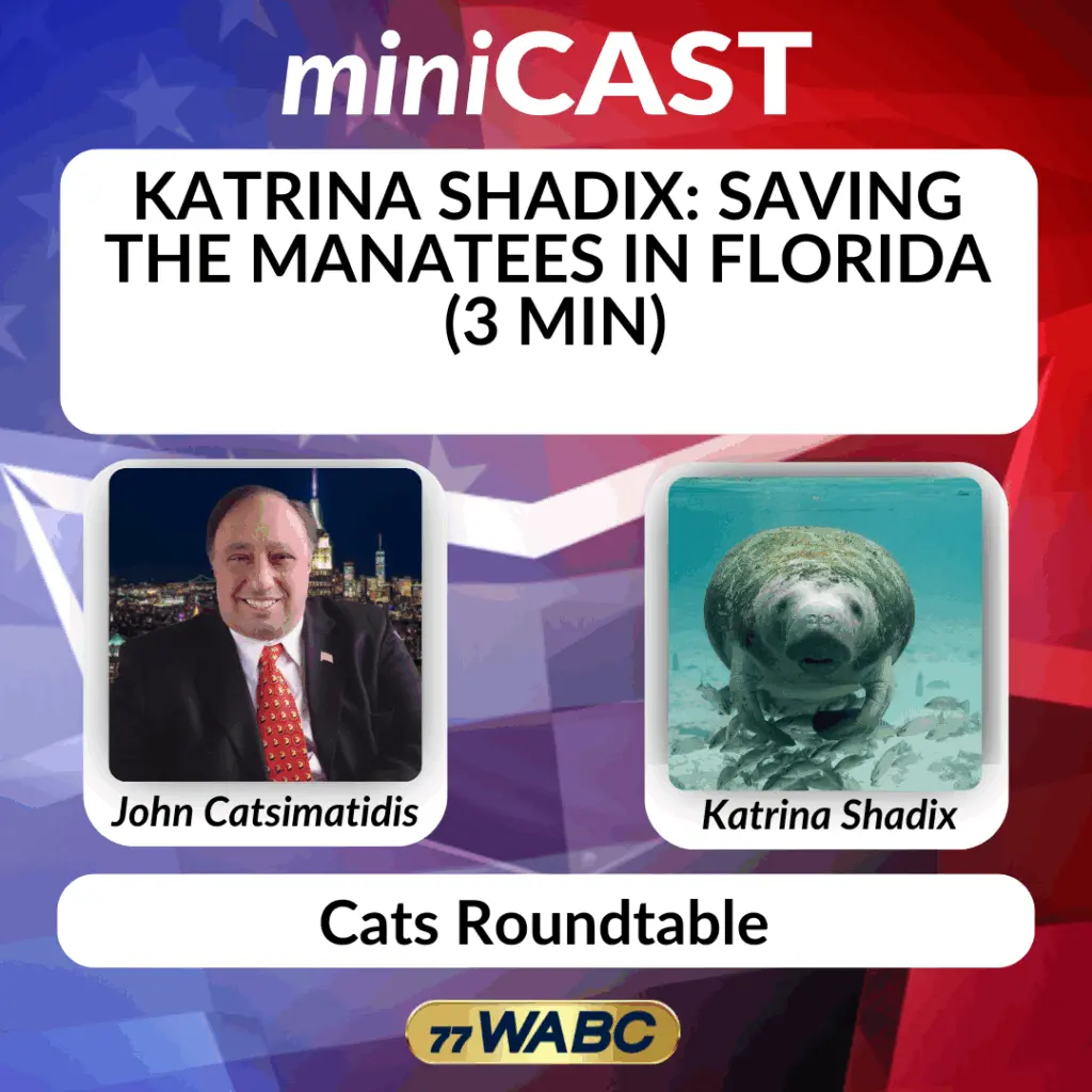 4e94a5a7be53940f3181b08fb2288961200582