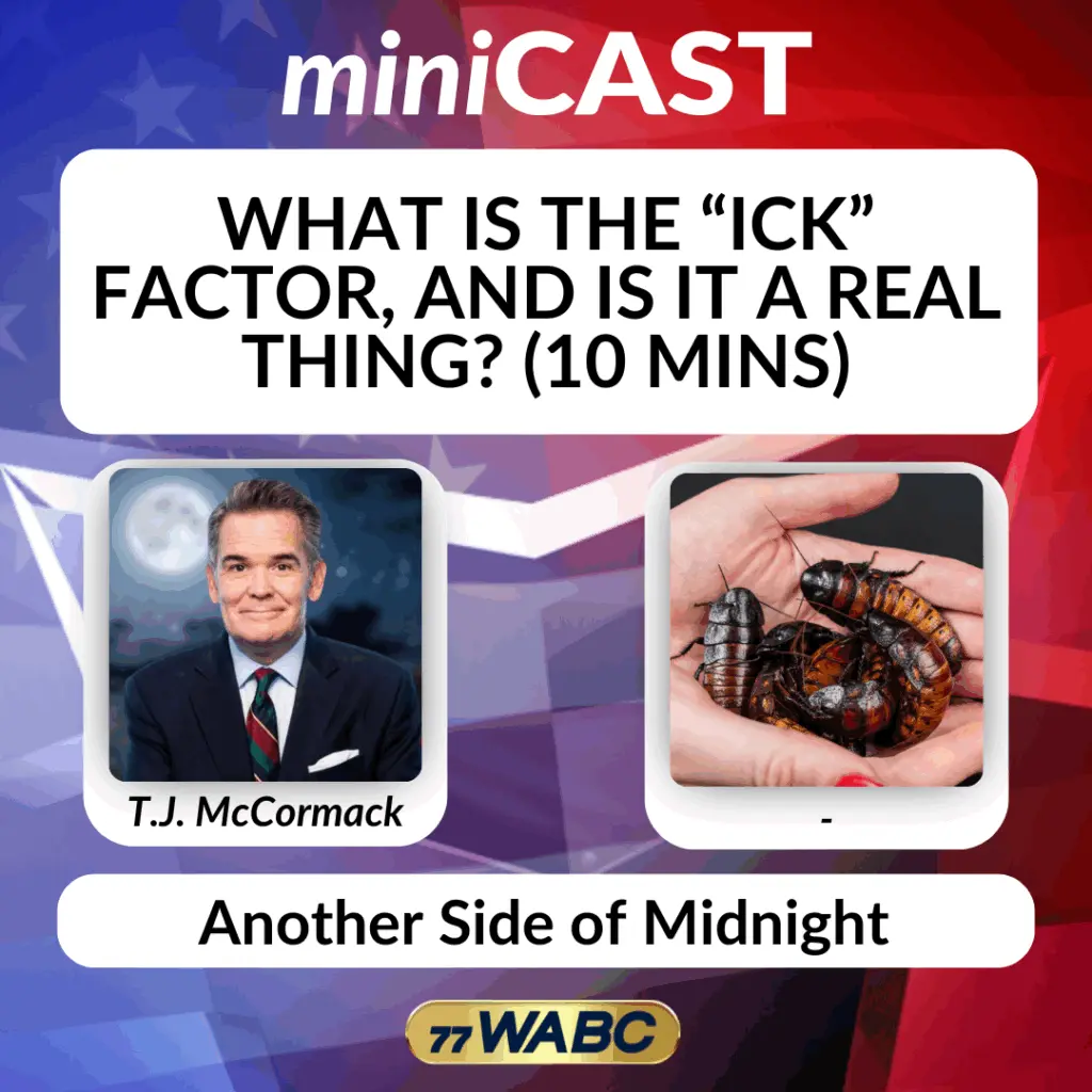 8ecaf28eae6c8c6766aaeb2118f1a20a752436