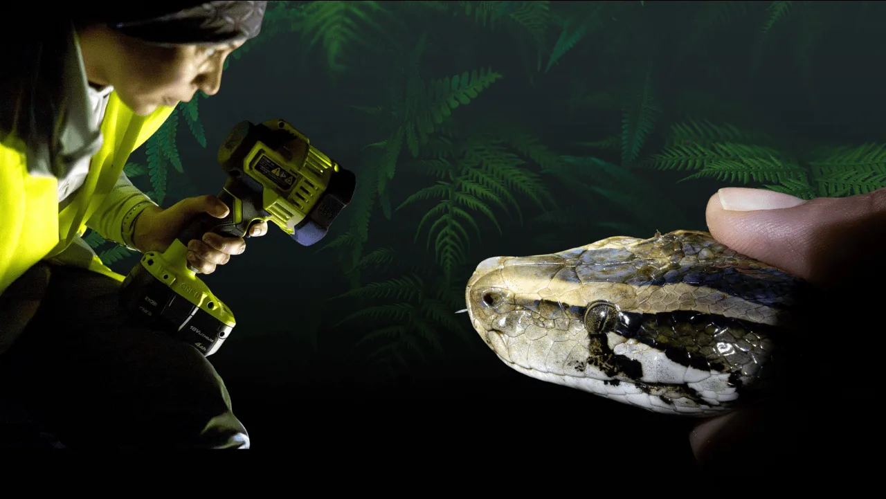 flippin-tings-for-newsletter-21-2