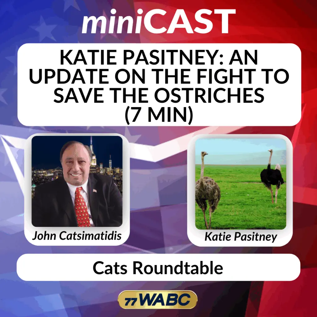 b450977d6041a253cee5d53f3f42eea793337