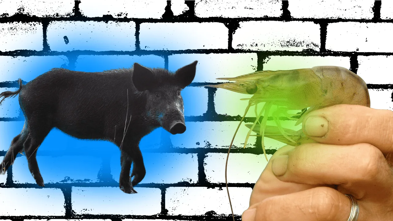 flippin-tings-for-newsletter-35