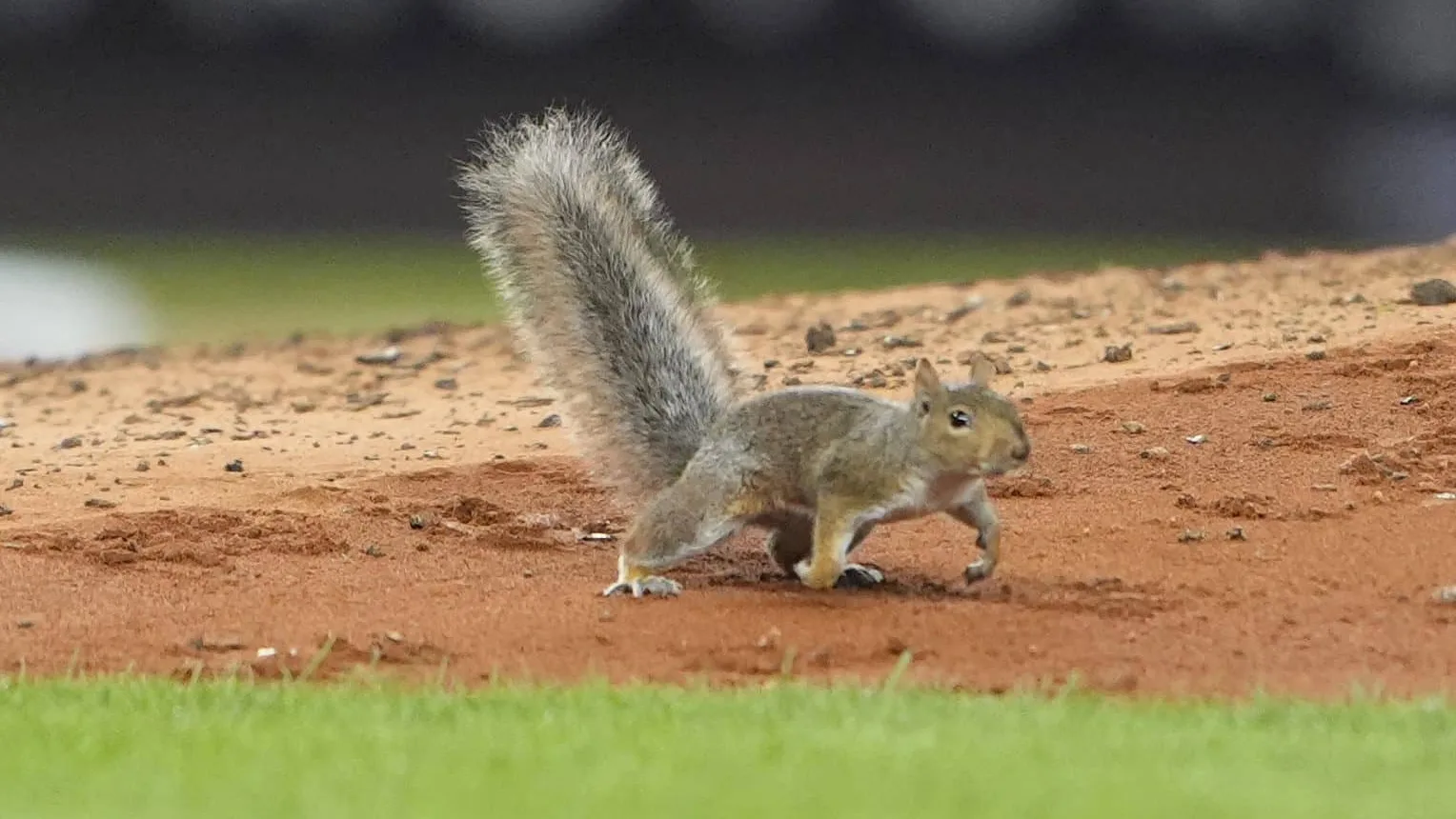 mlb-boston-red-sox-at-new-york-yankees-4