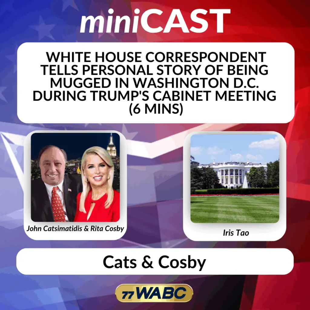 9a3aaf0ce9a9d53c77989249b73b81b4702243