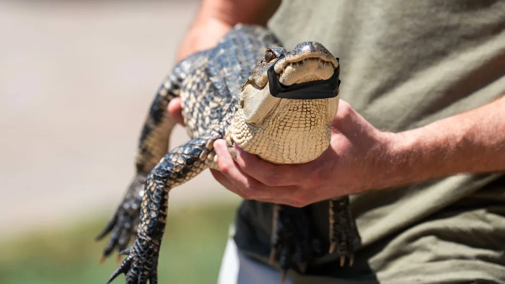 syndication-bucks-county-courier-times-5