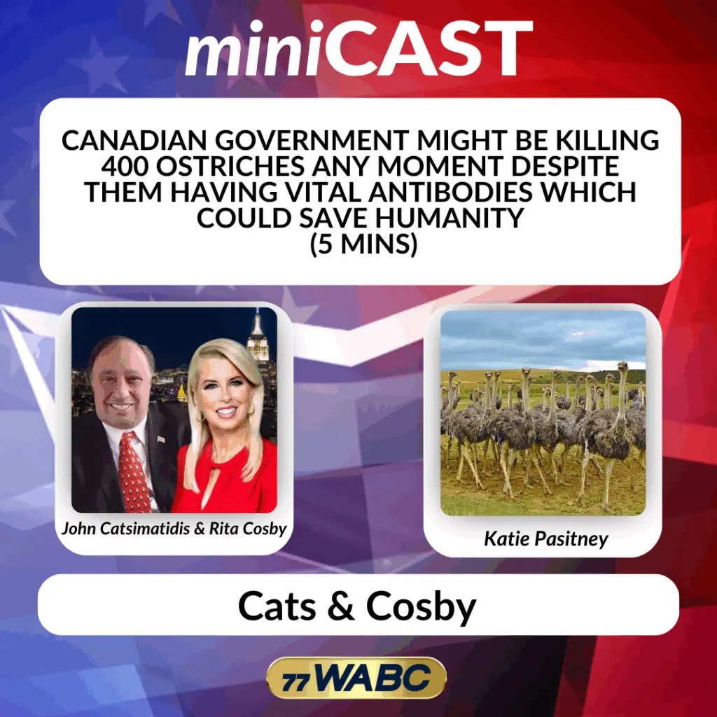 93fb823f04c18b0d4d99caa2276f2e1d301368