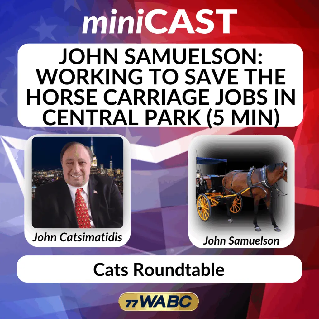 6f7a0b179b1d5f3d2e53e078d55632a354242