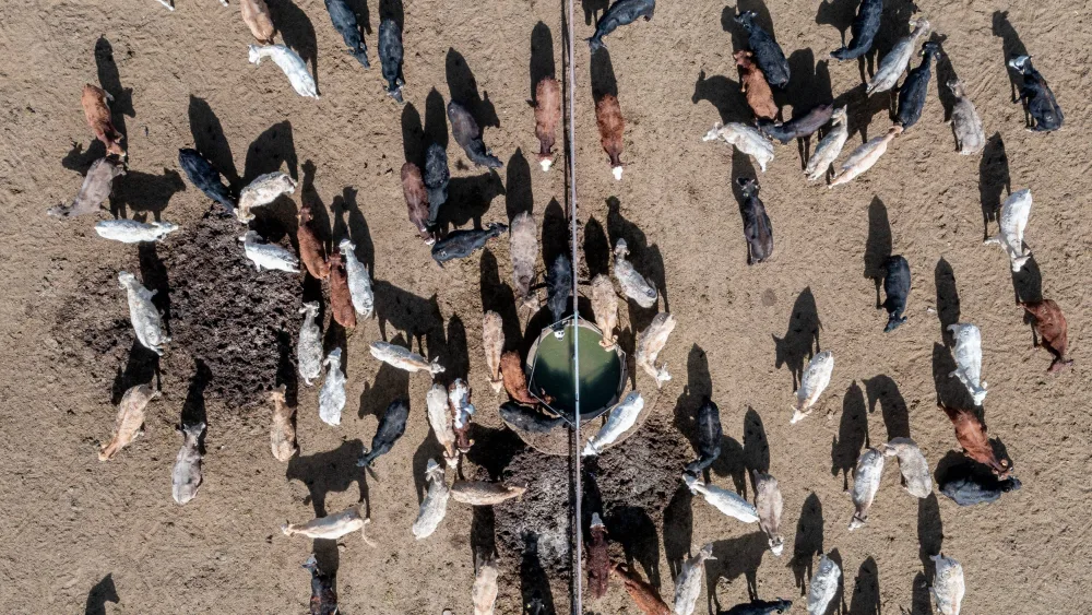 syndication-el-paso-times-60