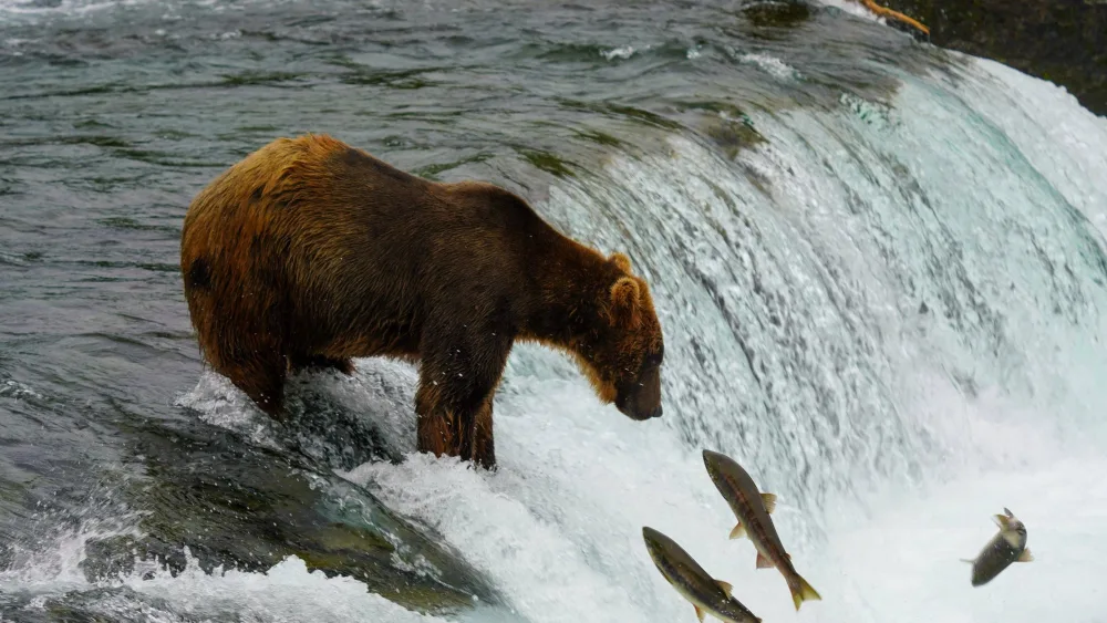 syndication-usa-today-500