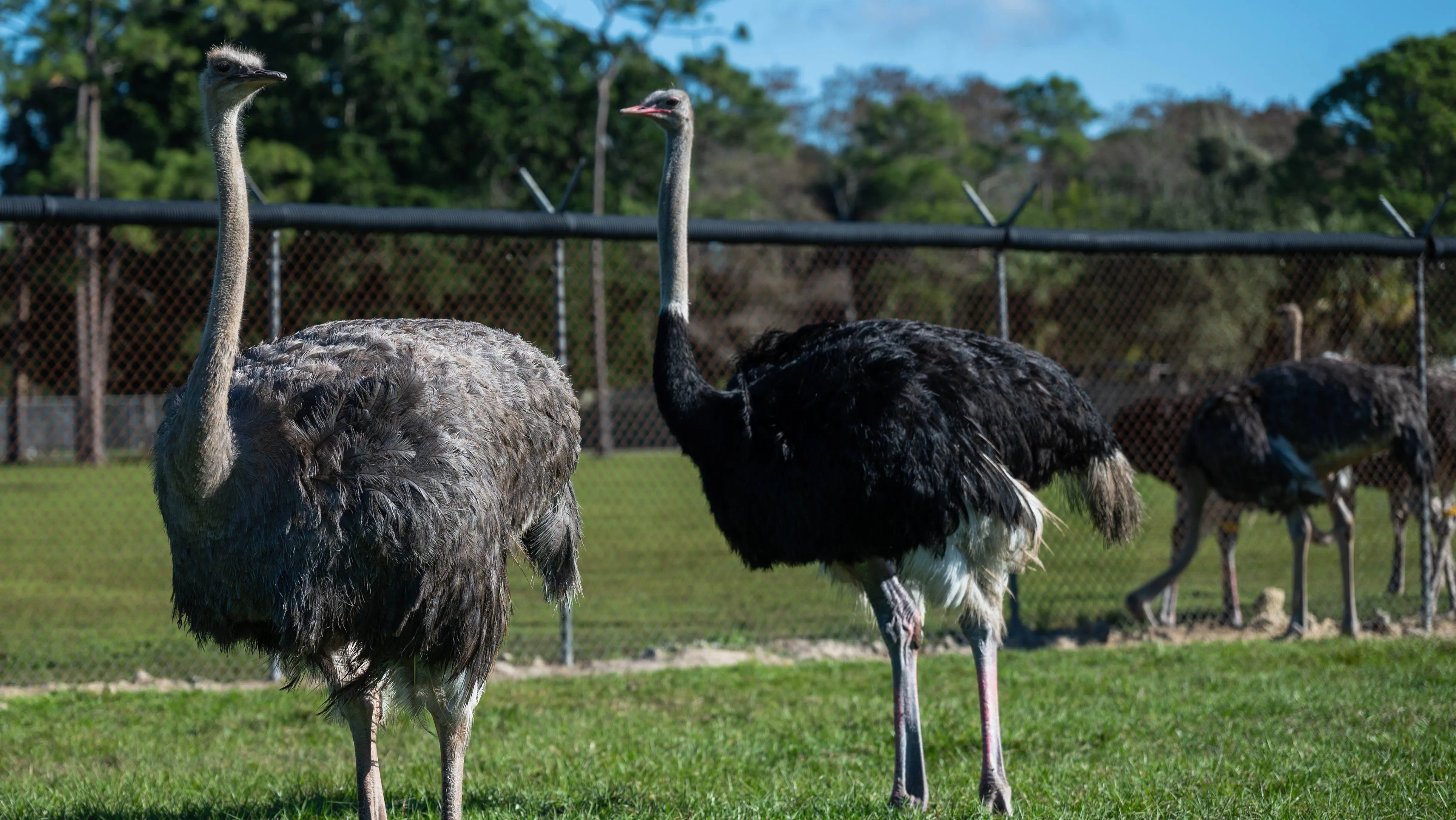 syndication-palm-beach-post-53