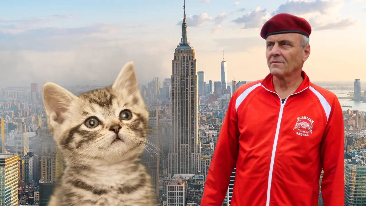 flippin-tings-for-newsletter-83