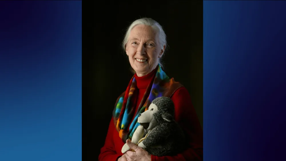 flippin-tings-for-newsletter-96