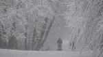 syndication-usa-today-516