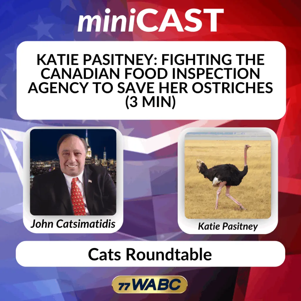 8aa17e689b4eb6902d1bbcc17f993269369512