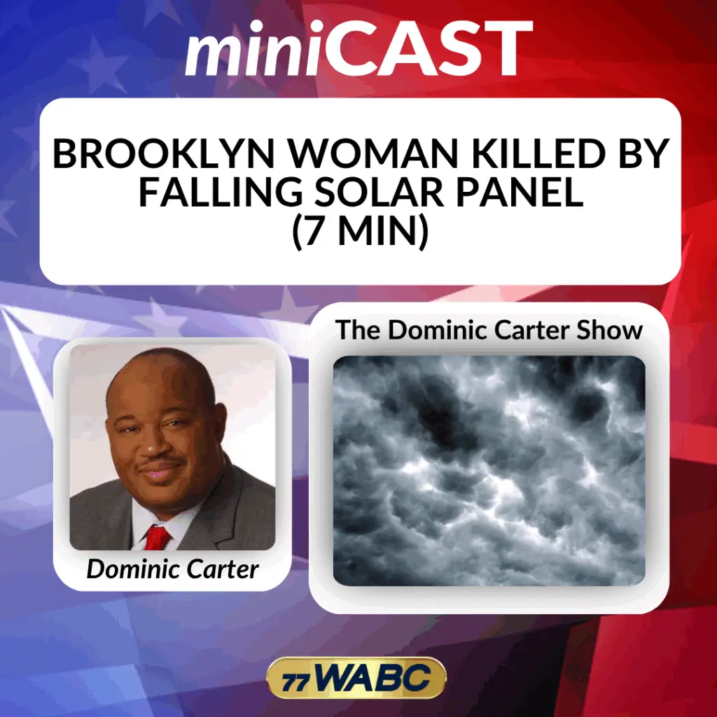 dominic-carter-topic-2