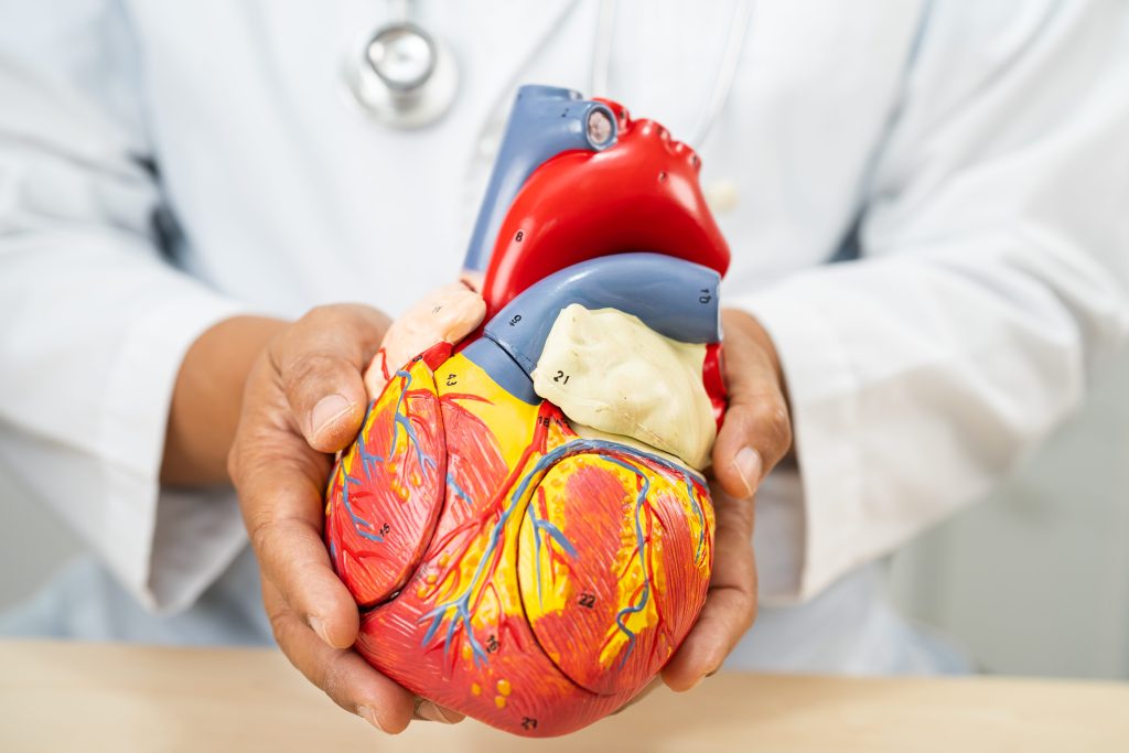 Cholesterol Targets and Heart Health: How Low Is Low Enough?