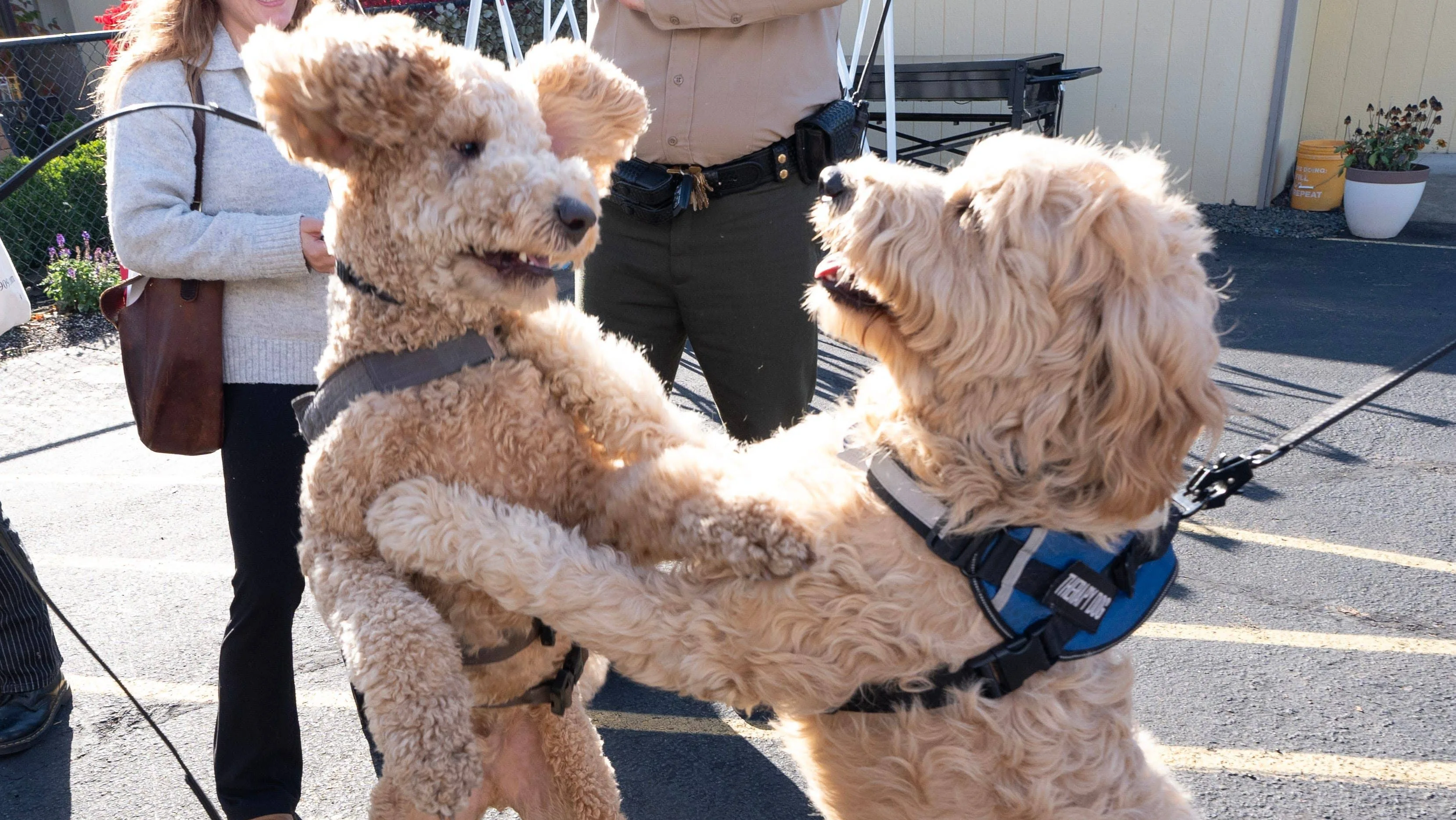 syndication-the-register-guard-13