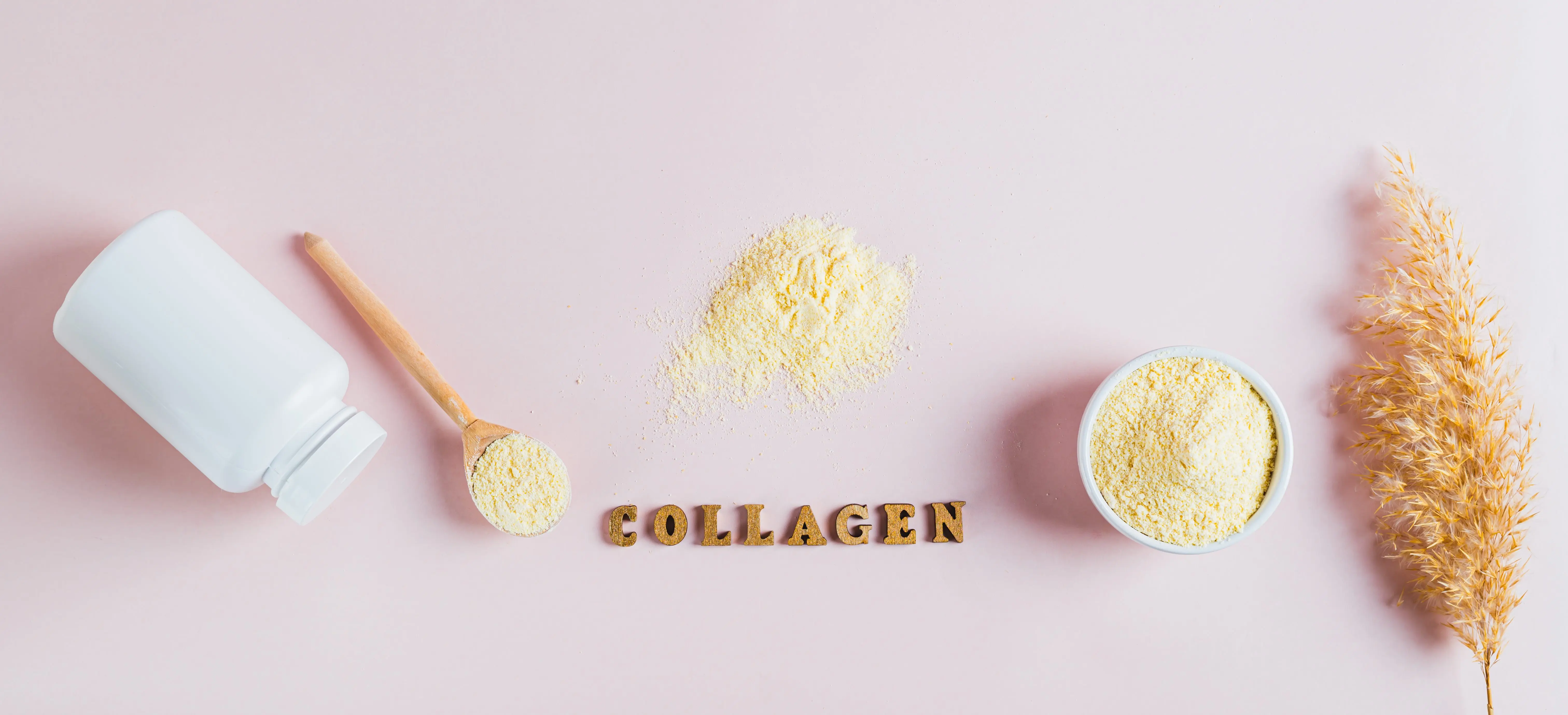 Hydrolyzed collagen protein powder