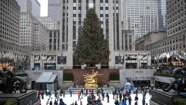 When Is The Best Time To Buy A Christmas Tree?