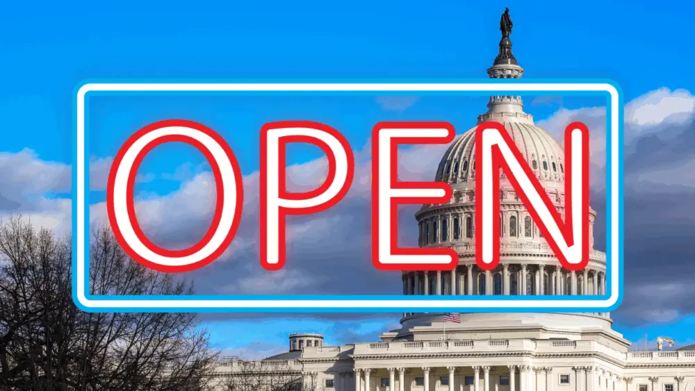 flippin-tings-for-newsletter-80-2