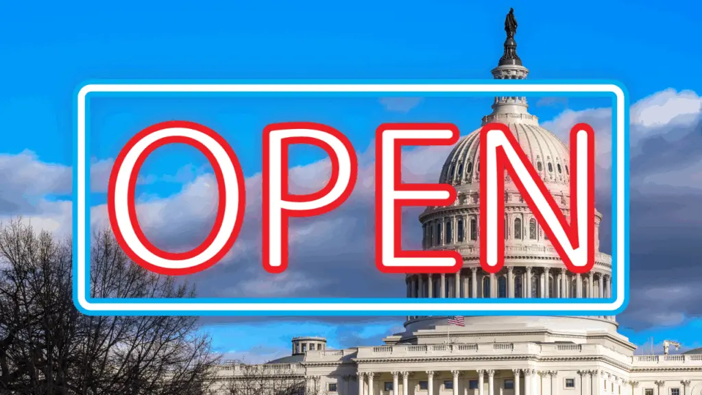 flippin-tings-for-newsletter-80-2