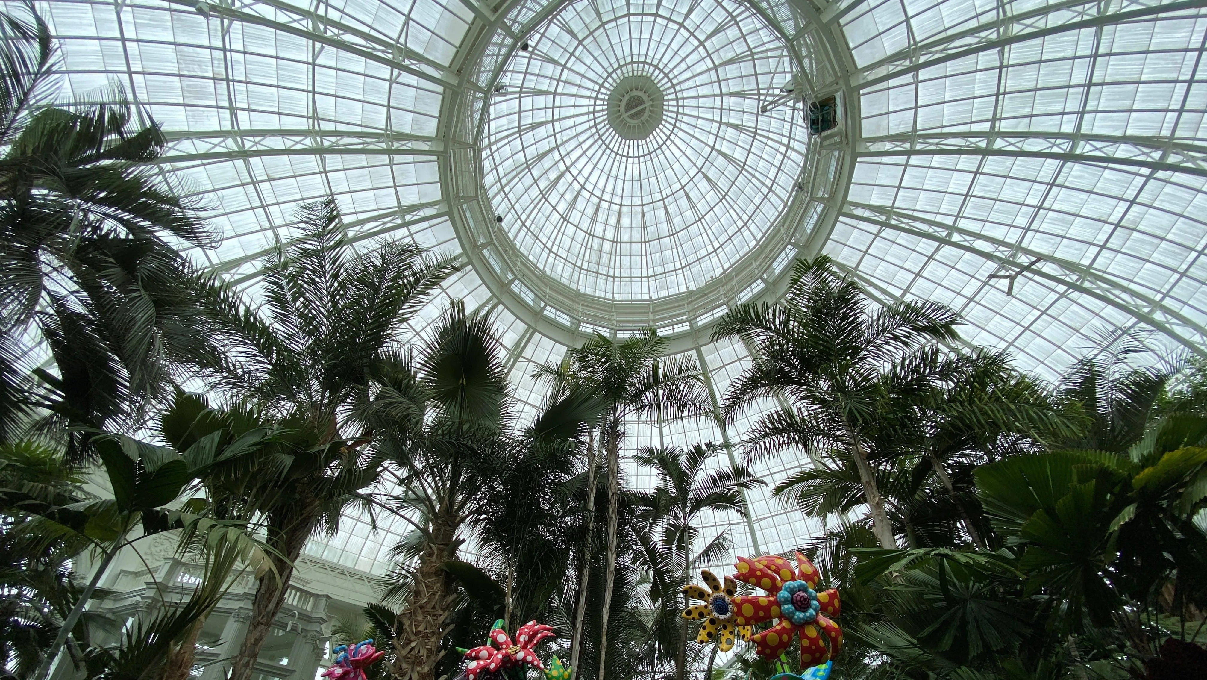 kusama-cosmic-nature-at-the-new-york-botanical-garden