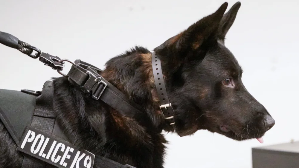 syndication-the-indianapolis-star-60