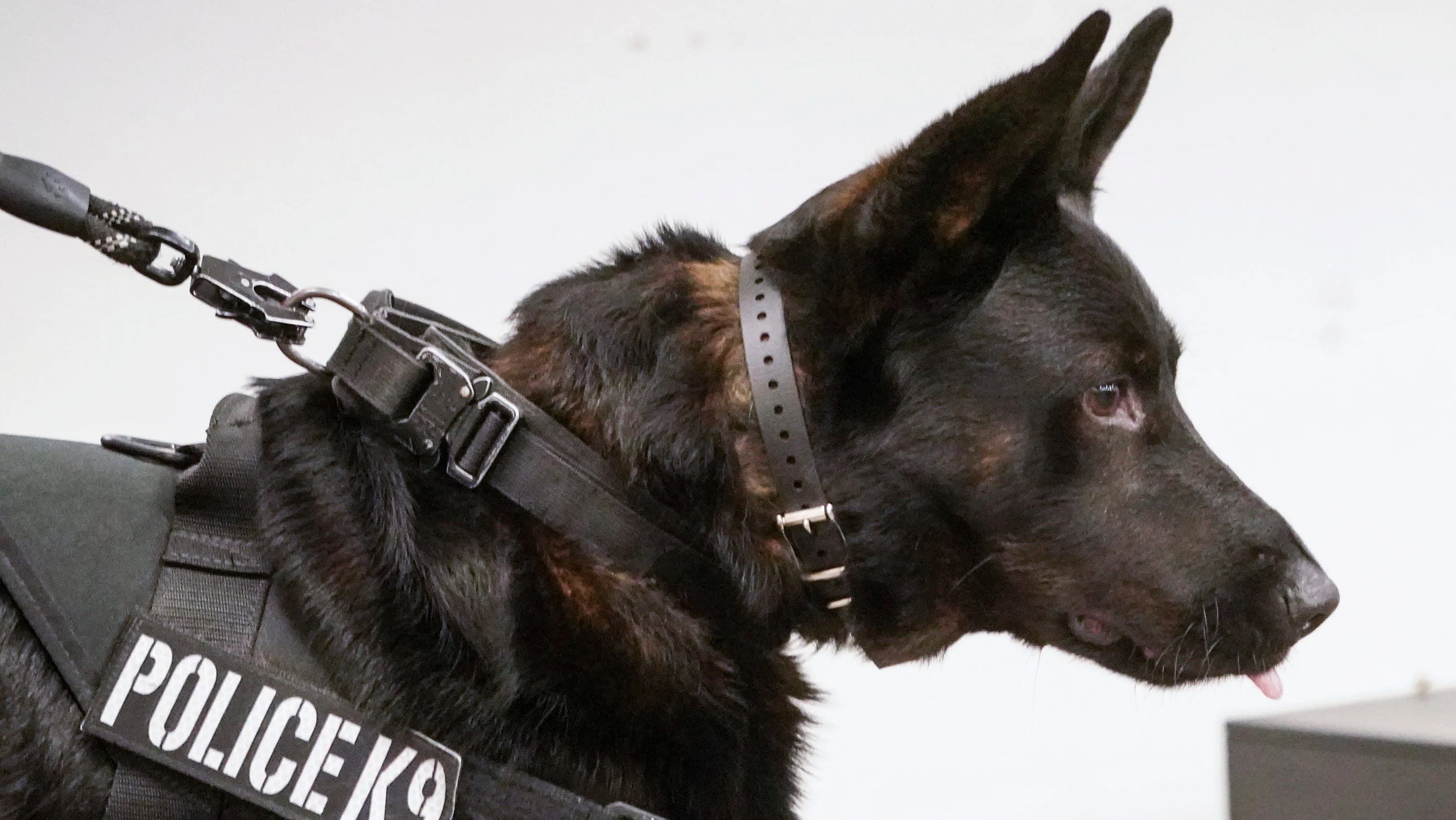 syndication-the-indianapolis-star-60