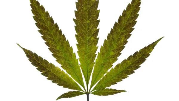 x8gps2xw5wndvmcijvdppr-1000-80