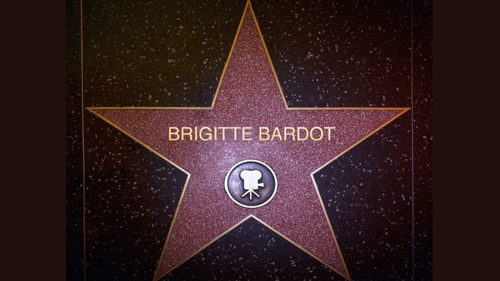 French actress and animal rights activist Brigitte Bardot dies at age 91