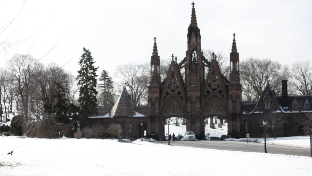 parrots-are-seen-foraging-in-melted-snow-on-the-grounds-of-the-green-wood-cemetery-in-brooklyn