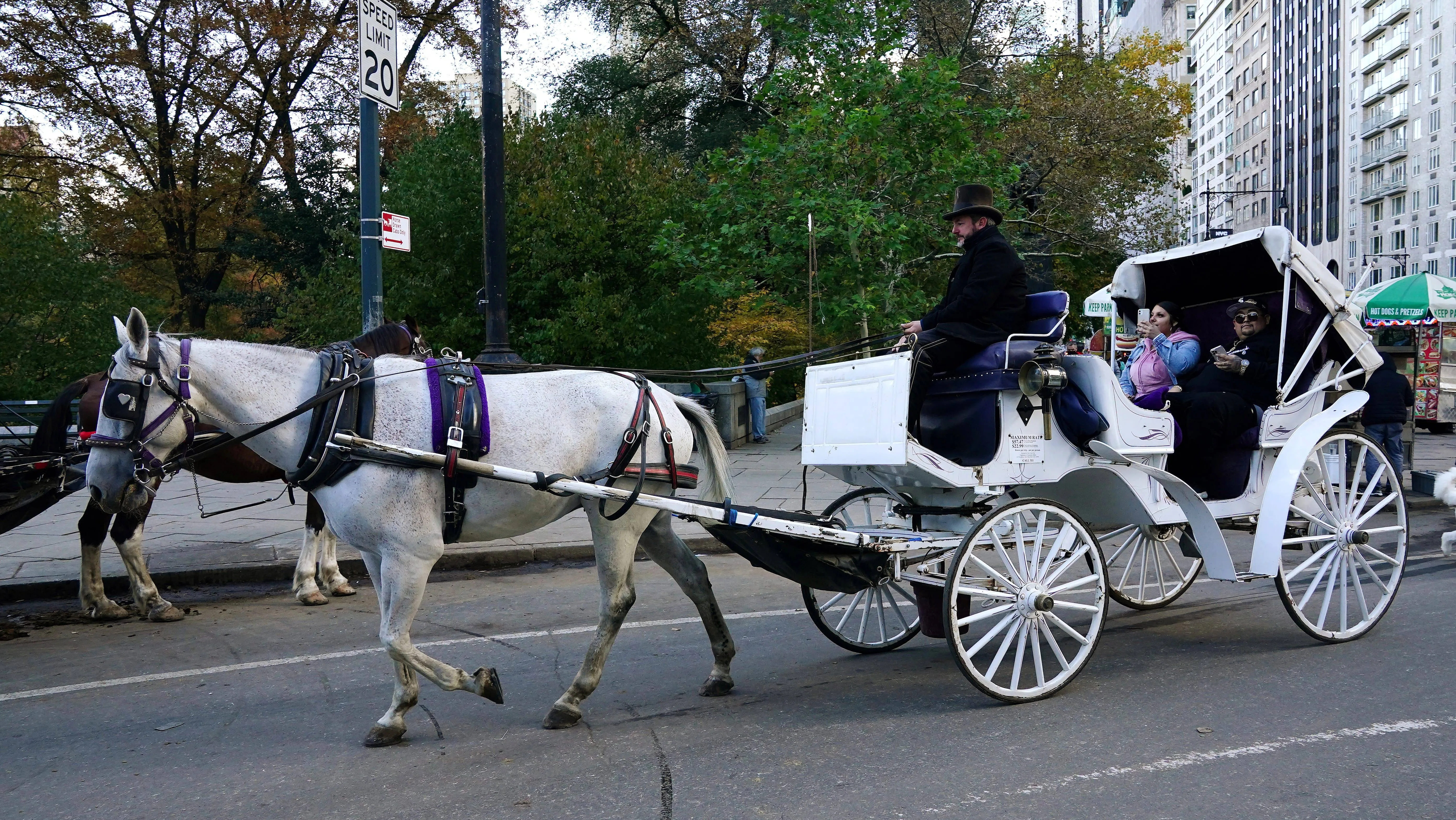 tourist-travel-returns-in-new-york