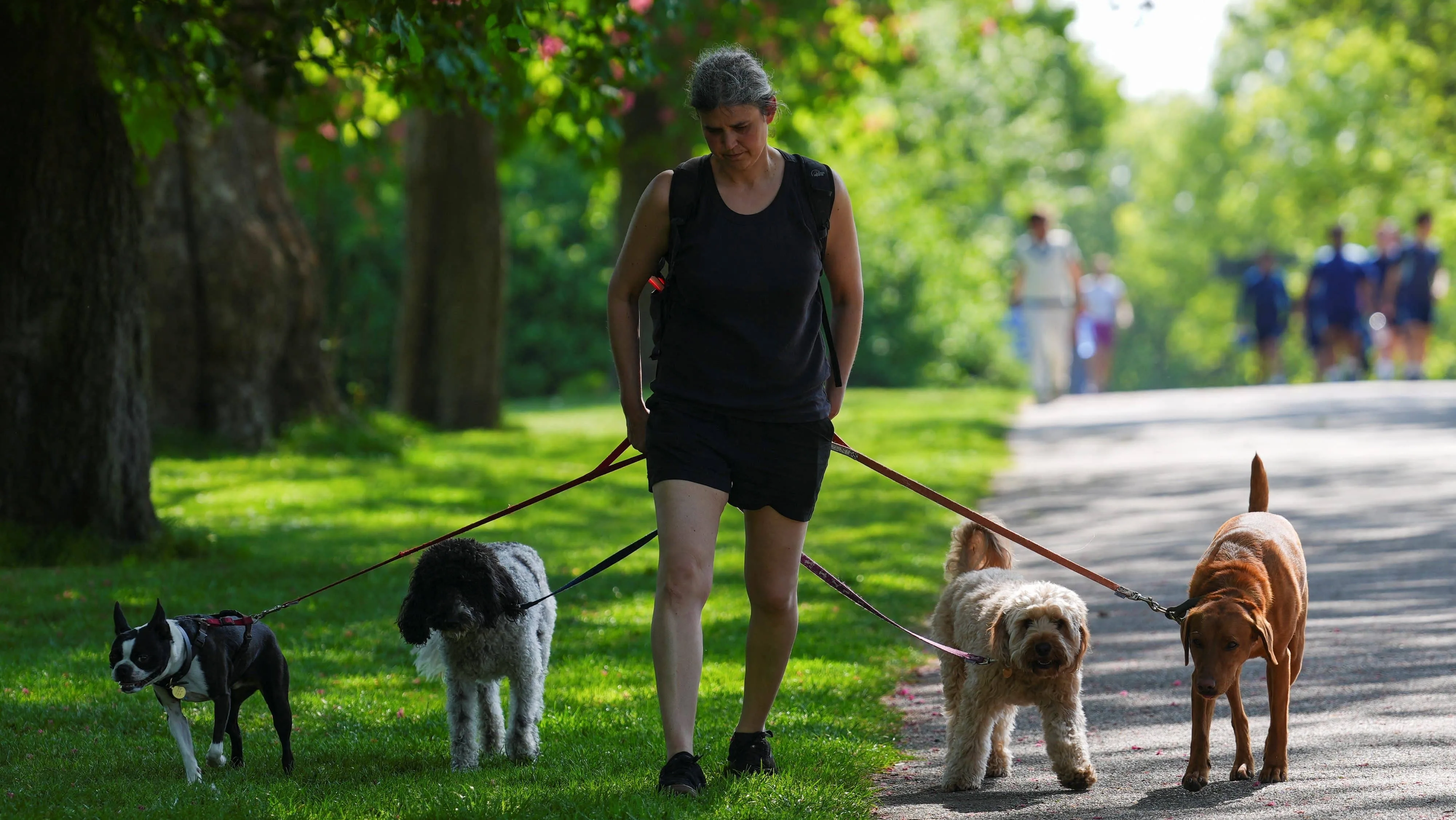 sunny-weather-in-london