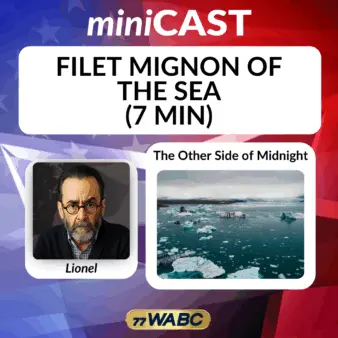 af865eea5c87fb8104ebb213201d5859985436