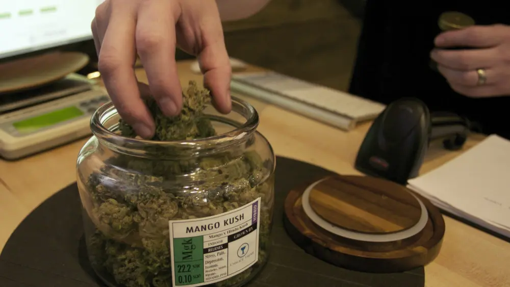 co-owner-troy-moore-measures-marijuana-at-the-oregons-finest-medical-marijuana-dispensary-in-portland