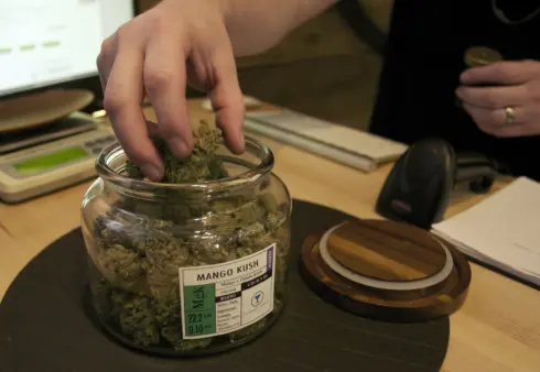 co-owner-troy-moore-measures-marijuana-at-the-oregons-finest-medical-marijuana-dispensary-in-portland