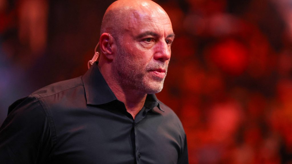 Joe Rogan Says Minneapolis Protest are 