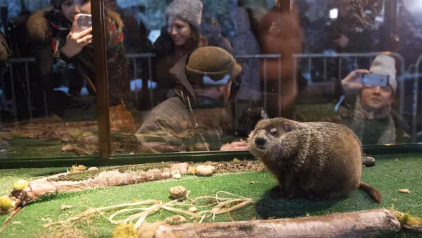 Staten Island Chuck Predicts Six More Weeks of Winter at Zoo’s Groundhog Day Event