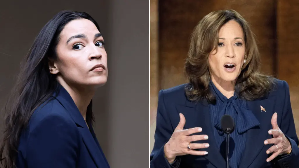 flippin-tings-for-newsletter-61-3