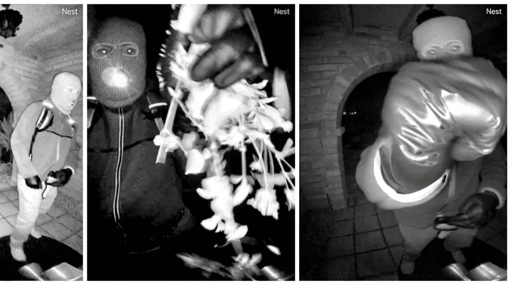 Cops Release a Detained Person in Guthrie Case