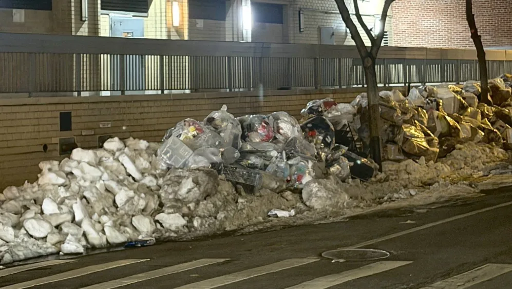 emily-austin-x-garbage