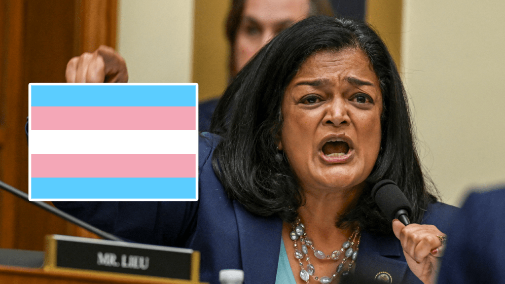 New ‘Trans Bill of Rights’ and How Much it Could Cost You…