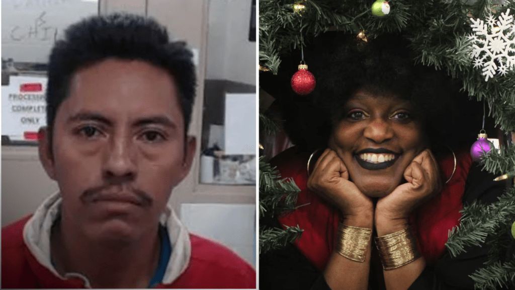 GEORGIA SCHOOL TEACHER KILLED BY ILLEGAL ALIEN FLEEING ICE…