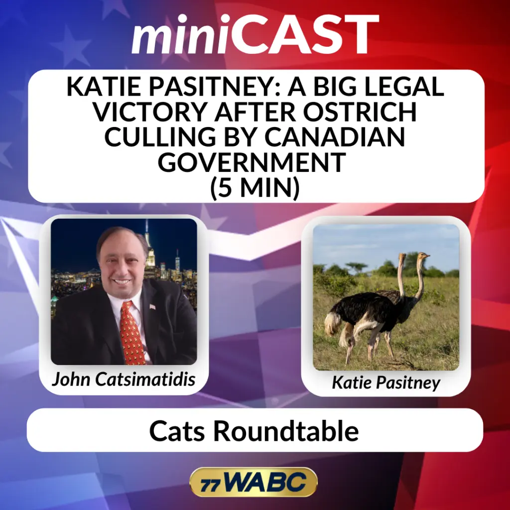 3ac27766e716f50a5bec7dca7ec46401281118