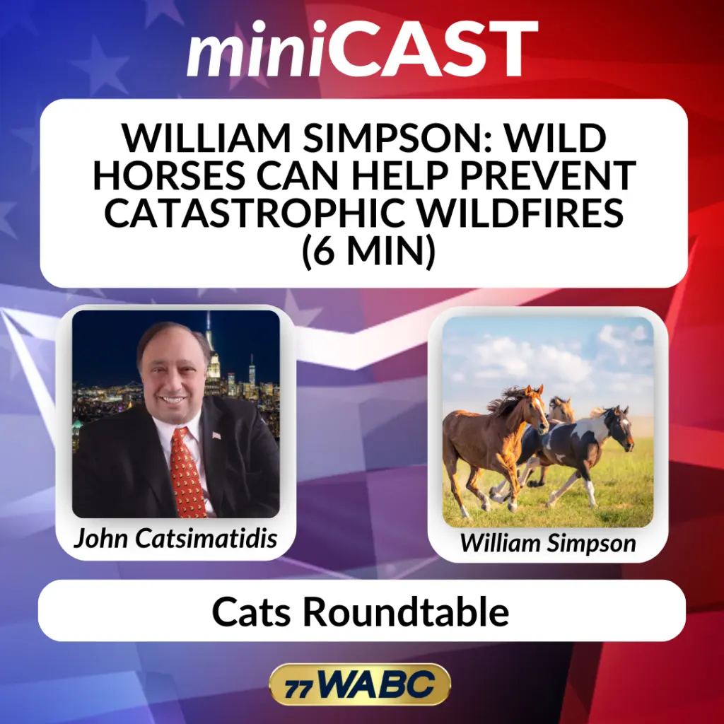 0a0da6ec6cef20c4904790aba29c607a138266