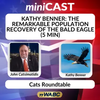 ce5899eb6d4e7278e1cabd9a4417b87396932